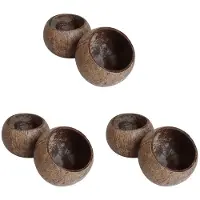 Typecat 6X Can Pouring Candle Coconut Shell Bowl,Coconut Shell,Coconut Wood Bowl, Decoration Bowl,Storage Bowl