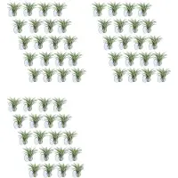 Torribaly 60 Pcs Air Plant Holder, Plant Pot Tillandsia Holder Air Plant Hanger with Suction Cup for Hanging (Plants Not Included)
