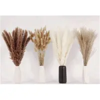 Typecat 400 PCS Dried Pampas Grass Decor Pampas Grass Bunny Tails Dried Flowers Reed Grass Bouquet for Wedding Party Boho Decor
