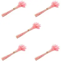 Typecat 300Pcs Fall Dried Flowers Bunny Tails Dried Flowers Lagurus Ovatus Rabbit Tail Grass for Dried Floral()
