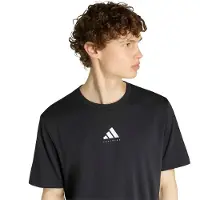 Adidas Climacool Category Training Graphic Lyhythihainen T-paita