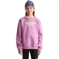 The North Face Teen G Chalbi Relaxed Crew - Graphic - Purple - S