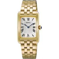 Seiko Conceptual Series Essentials HGG001P1