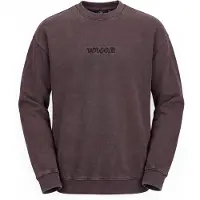 Volcom Big Stone Collegepaita