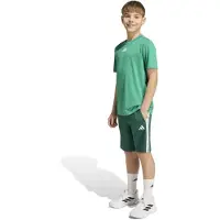 Adidas Train Essentials 3 Stripes Tee Kids Aseta