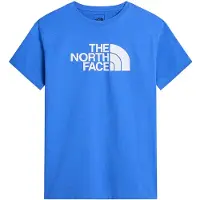 The North Face Evolution Half Dome Lyhythihainen T-paita
