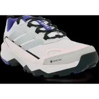 Adidas Terrex Skychaser Ax5 Gore-tex Vaelluskengät