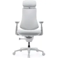 Libernovo Omni Pro Dynamic Ergonominen Tuoli - Glacier White