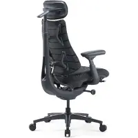 Libernovo Omni Pro Dynamic Ergonominen Tuoli - Graphite Gray