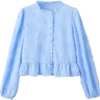 Mango Embroidered Blouse With Frill Detail - Blue - L