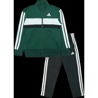 Adidas J 3S Tiberio Ts - Green - 140