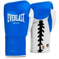 Everlast Powerlock Og Pro Fight Nyrkkeilyhanskat