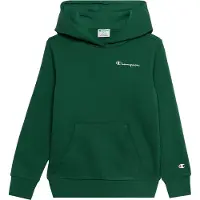 Champion Hooded Sweatshirt - Green - 164