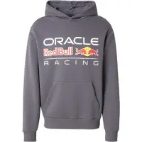 New Era Logo Oversize Red Bull F1 Huppari