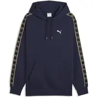 Puma Essentials Elevated Tape Relaxed Hoodie Men, koko X-Large