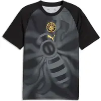 Puma Manchester City Fc 26/27 Warm Up Ennen Ottelua Lyhythihainen T-paita