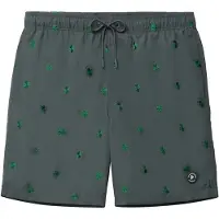 The Sunshine Brand Uimashortsit 'Mike Clover' petrooli / smaragdi