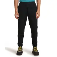 Icebreaker 300 Real Descender Joggers