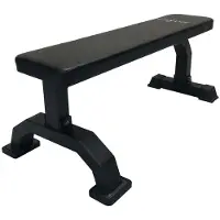 Titan Life Flat Bench II