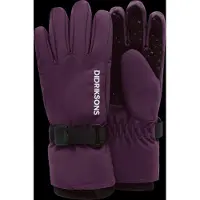 Didriksons Biggles Kids' Gloves - Purple - 6-8