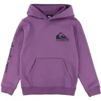 Quiksilver Omni Logo Huppari