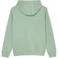 Quiksilver Comp Logo Kids Huppari iceberg green Koko T08