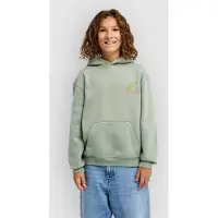Quiksilver Graphic Huppari