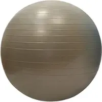 Sporti France Gym Fitball 55 Cm