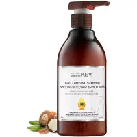 Saryna Key syväpuhdistava shampoo rasvoittuville hiuksille ja päänahalle (300ml/10.14oz) - pH-tasapainotettu - parabeeniton ja ftalaattiton - vär