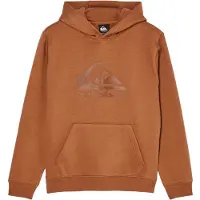 Quiksilver Comp Logo Kids Huppari ruskea, T08