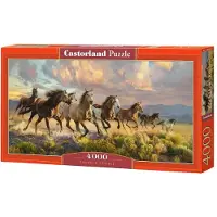 Castorland Thunder Prairie 4000p palapeli