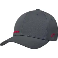 Alpinestars Points Lippis
