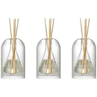 Typecat 3X Containers Diffuser Bottles Aromatherapy Diffuser Bottle Modern Diffuser Glass Bottle Essential Oil Organizers,B