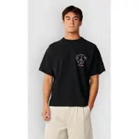 Rip Curl Disorder Dolphin Lyhythihainen T-paita