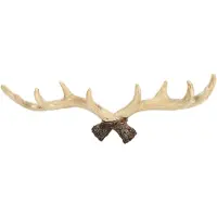 Semoic Vintage-seinäkoukut peuransarvista - 28 cm, seinälle ripustettu kangas