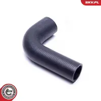 ESEN SKV Ahdinletku 54SKV025