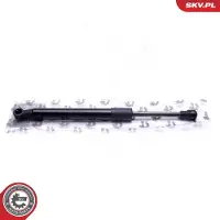 ESEN SKV Kaasujousi, tavaratila 52SKV743