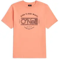 O'Neill Muir Lyhythihainen T-paita