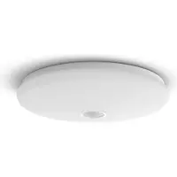 Philips by Signify Functional 8719514431867 ceiling lighting