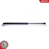 ESEN SKV Kaasujousi, tavaratila 52SKV701