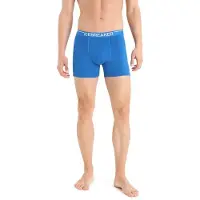 Icebreaker Anatomica Boxerit