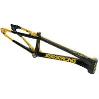 Stay Strong For Life V5.1 Bmx-rahmen