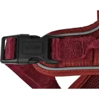 51 Degrees North 51 - Wanderful - H Harness - Trail - Burgundy - M