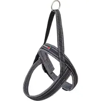 Freedog Shiva Sport Koiran Valjaat