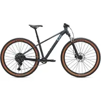 Liv Tempt 1 29´´ Cues Rd-u6000 2025 Mountainbike
