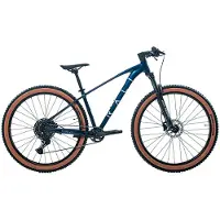 RALI R-pro 2.0 29´´ Cues Maastopyörä