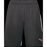 Puma Individualliga Training Shorts - Black - L