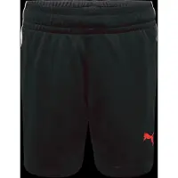 Puma Individualliga Training Shortsit