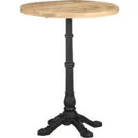 vidaXL Bistrop?yt? ?60x76 cm karkea mangopuu