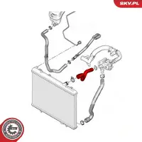 ESEN SKV Jäähdyttimen letku 24SKV233